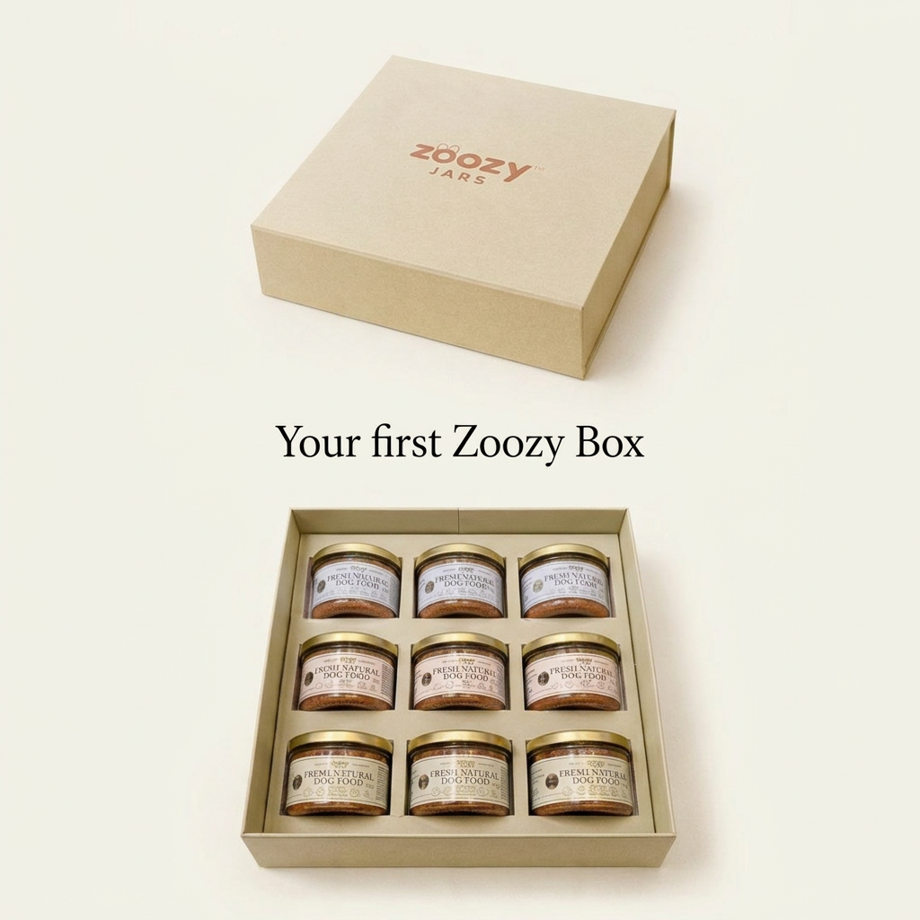 Your first Zoozy box with 9 glass jars of fresh dog food